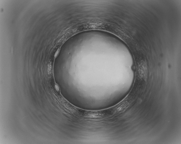 X0000056030657200509021823