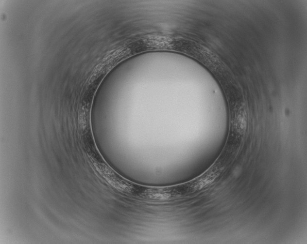 X0000056030658200509021823