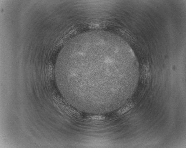 X0000056030659200509021823