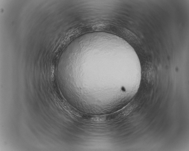 X0000056030660200509021823