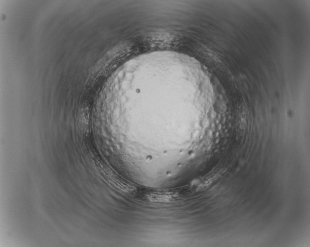 X0000056030661200509021823