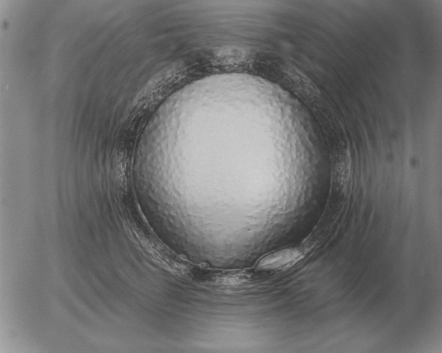 X0000056030662200509021823