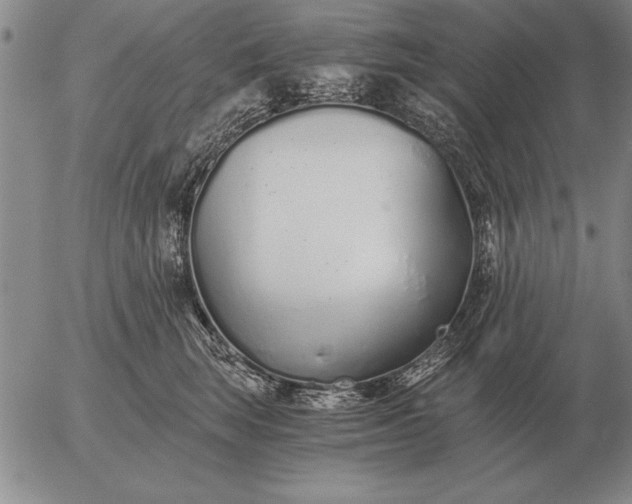 X0000056030663200509021823