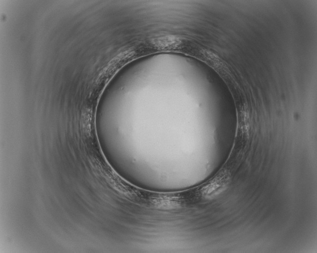 X0000056030664200509021823