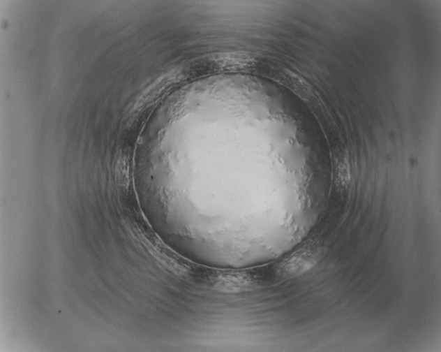 X0000056030666200509021823