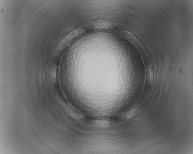 X0000056030668200509021823