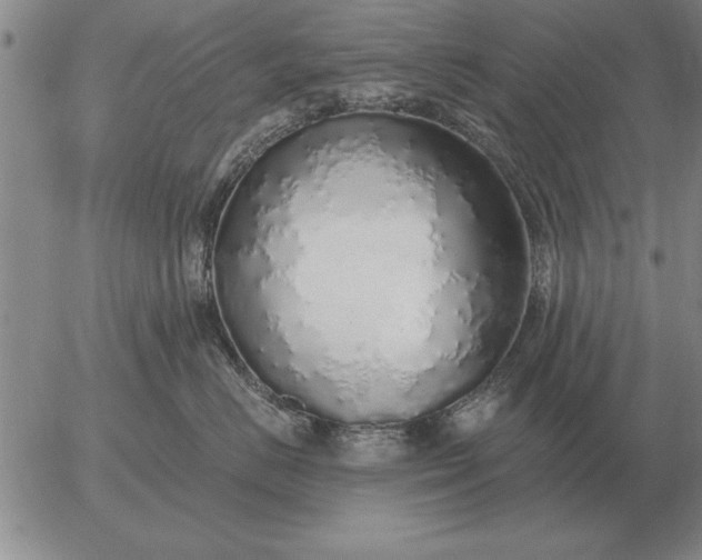 X0000056030670200509021823