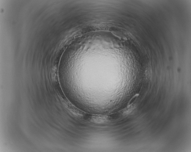 X0000056030671200509021823