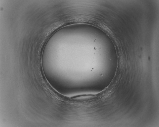 X0000056030673200509021822