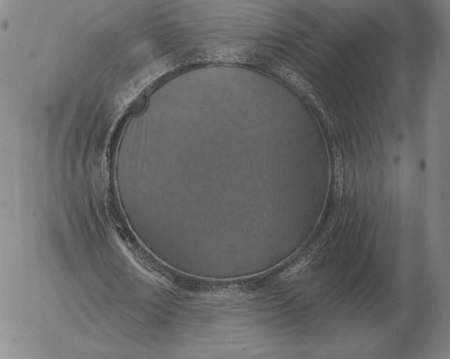 X0000056030674200509021822