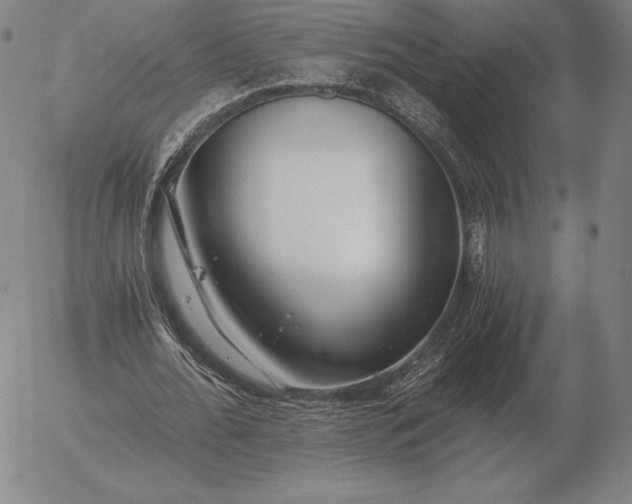 X0000056030676200509021822