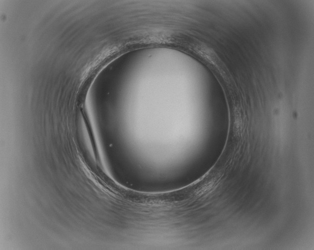 X0000056030677200509021822