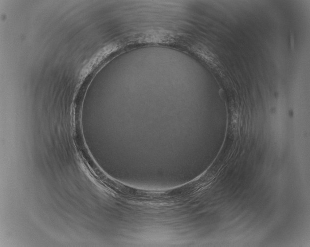 X0000056030678200509021822