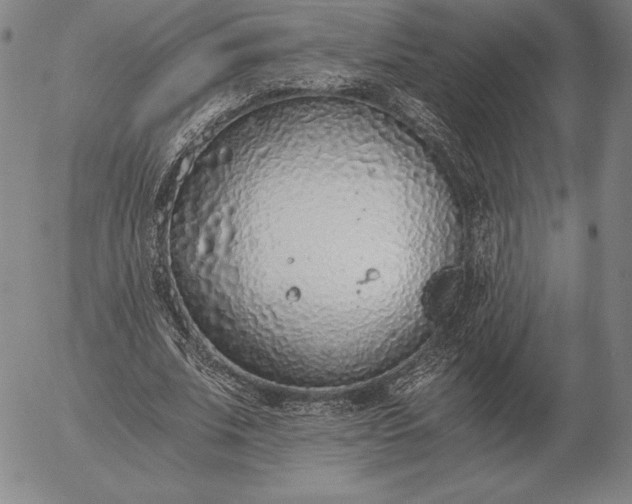 X0000056030679200509021822