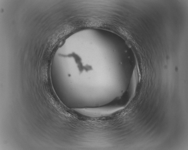 X0000056030681200509021822