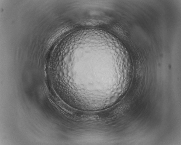 X0000056030683200509021822