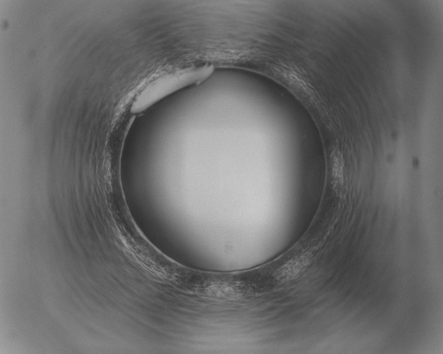 X0000056030684200509021822