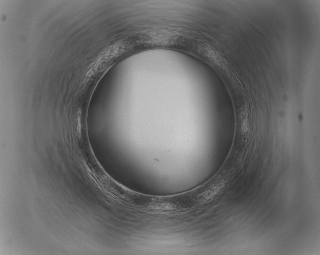 X0000056030685200509021822