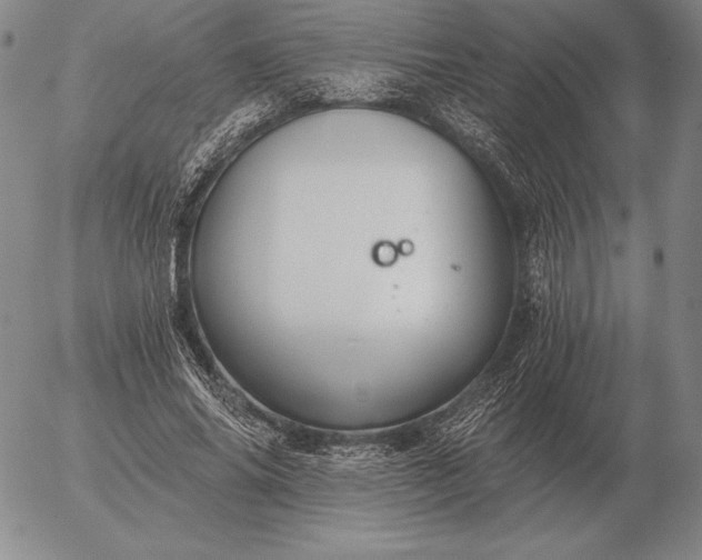 X0000056030686200509021822