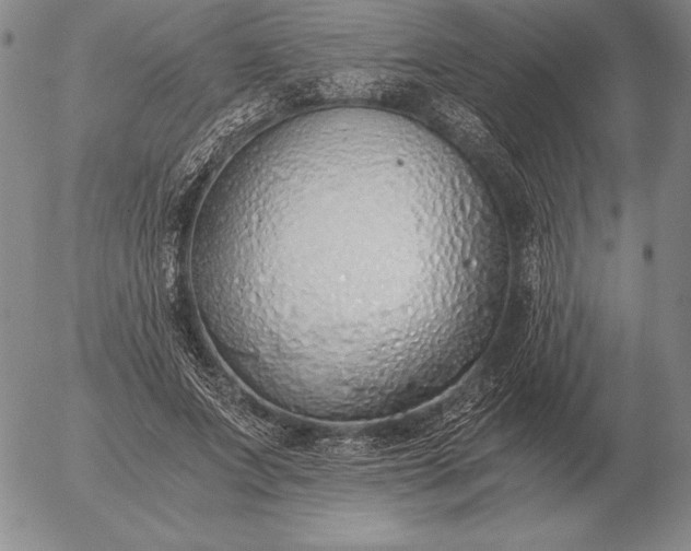 X0000056030687200509021822