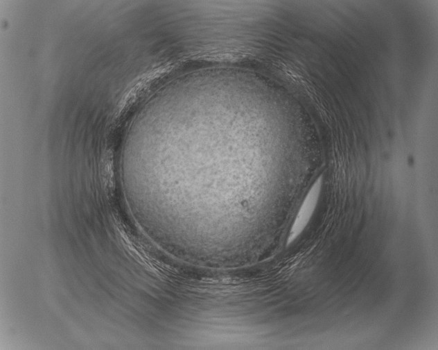 X0000056030688200509021822