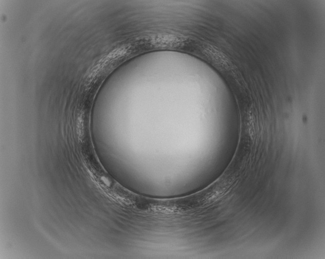 X0000056030690200509021822