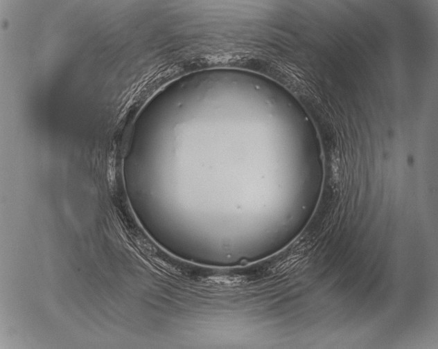 X0000056030691200509021822