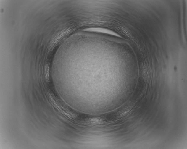 X0000056030692200509021822