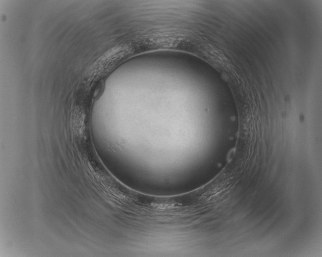 X0000056030693200509021822