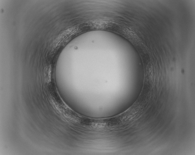 X0000056030694200509021822