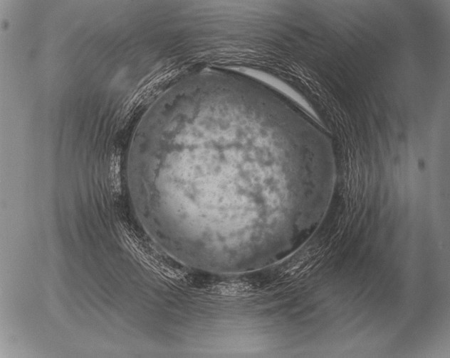 X0000056030696200509021822