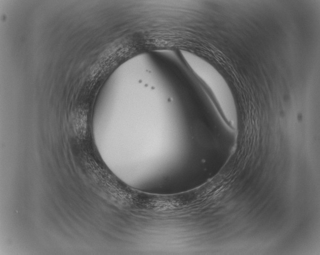 X0000056030697200509021822