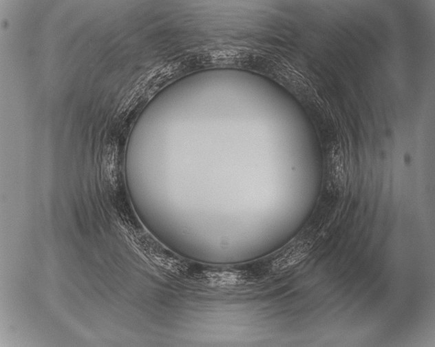 X0000056030698200509021822