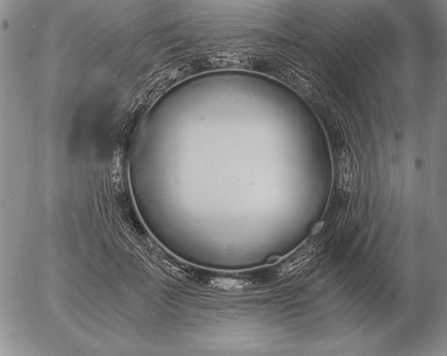 X0000056030699200509021822