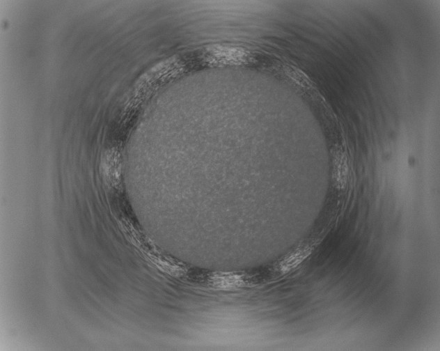 X0000056030701200509021822