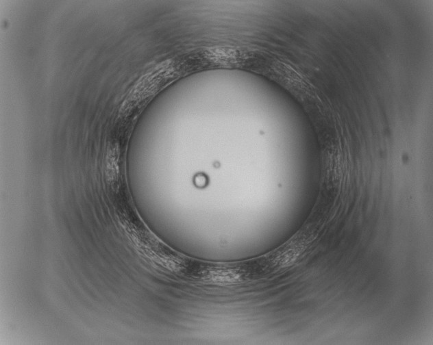 X0000056030702200509021822