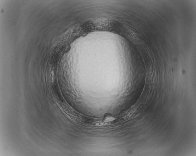 X0000056030703200509021822