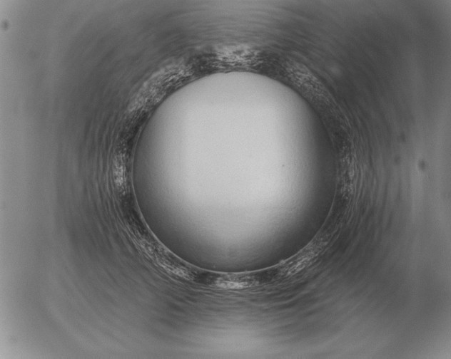 X0000056030706200509021822