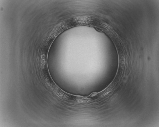 X0000056030707200509021822