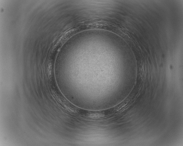 X0000056030708200509021822