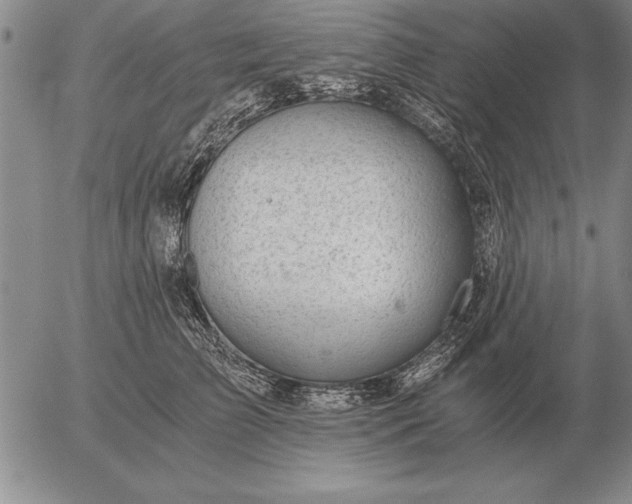 X0000056030709200509021822