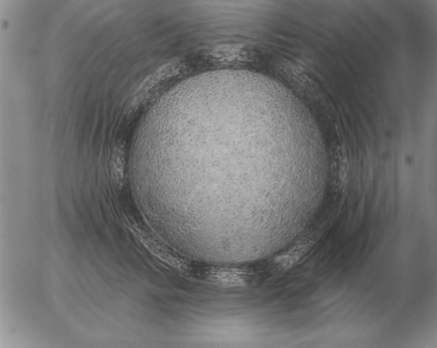 X0000056030710200509021822