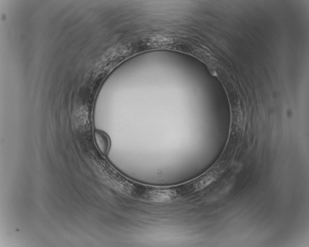 X0000056030711200509021822