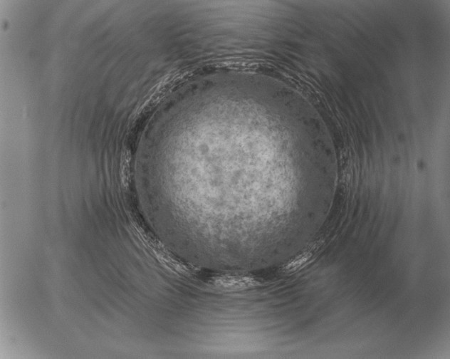 X0000056030712200509021822