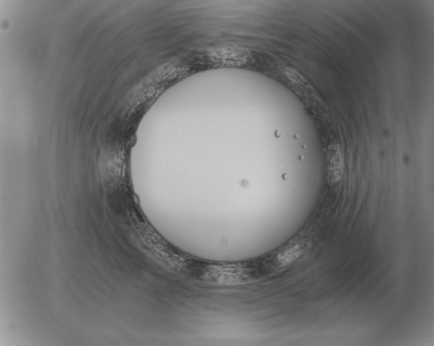 X0000056030713200509021822