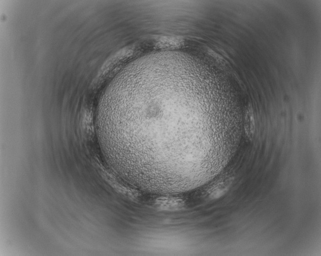 X0000056030714200509021822