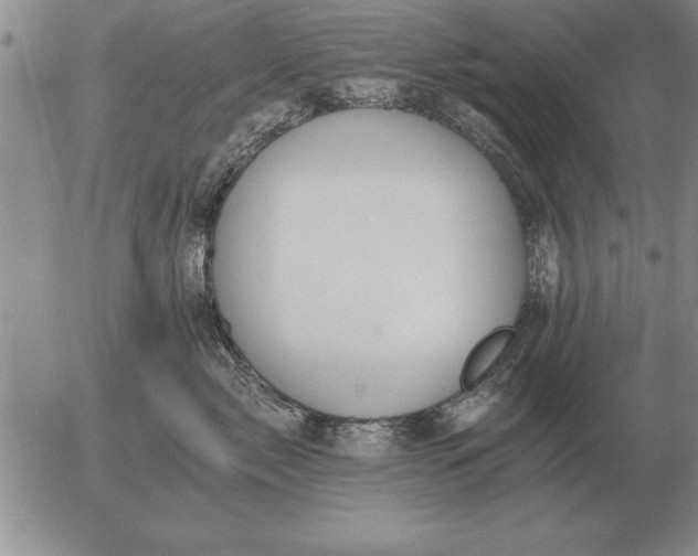 X0000056030717200509021822