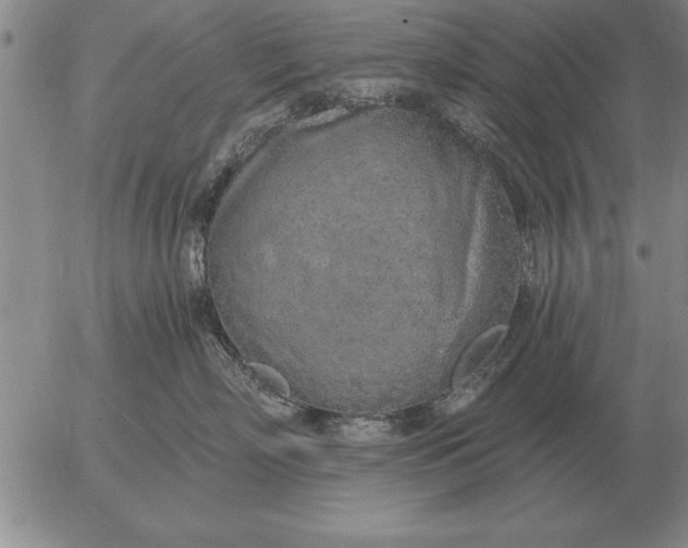 X0000056030718200509021822