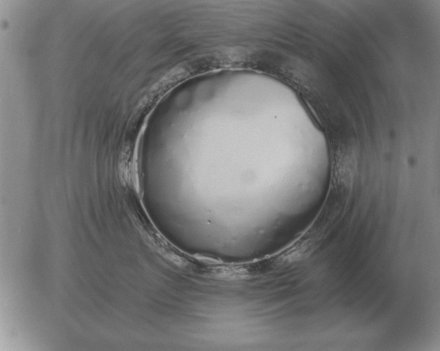 X0000056030719200509021822