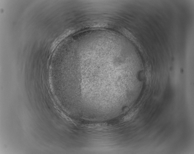 X0000056030721200509021821